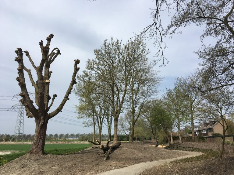 Renovatie park Hazeveld en Wielewaal