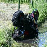 Motor getakeld uit water door bergingsauto na duik sloot