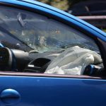 aanrijding A20 12 mei 2018 overstekende eenden