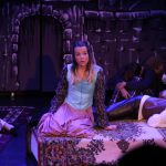 Theater voor Iedereen hamelen swanla 2018