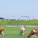 ride out RMS 25 april 2019