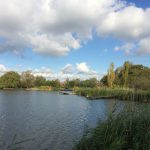 Rotte met oevers en pekland