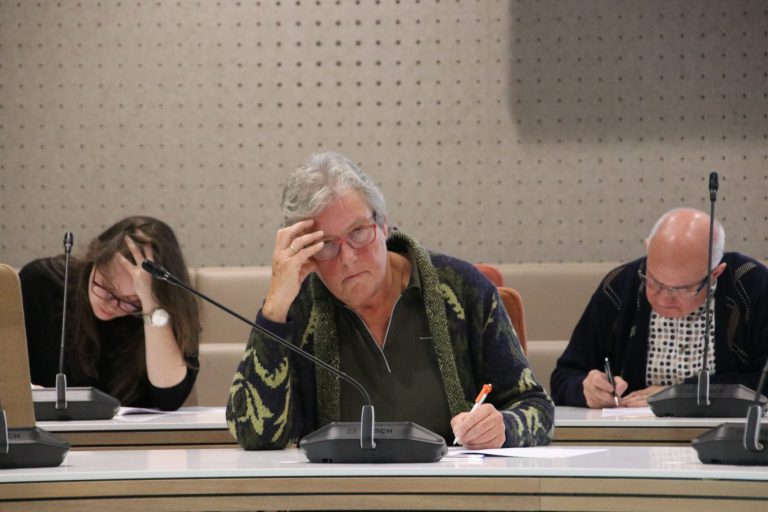 Peinzen, dubben en toch verbeteren bij Dictee in raadszaal