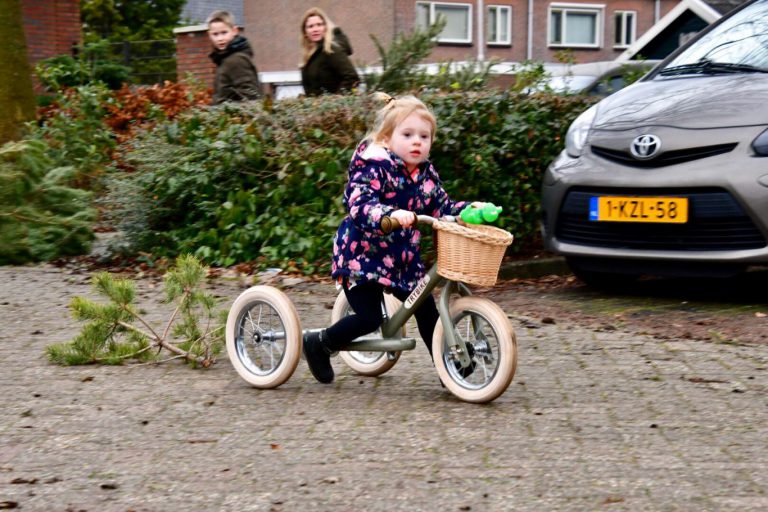 Iets minder kerstbomen ingeleverd in Zuidplas