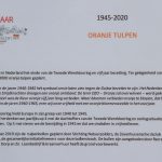 Tulp-005816