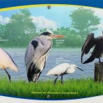 Vogeluitkijkpunt-Paneel-1