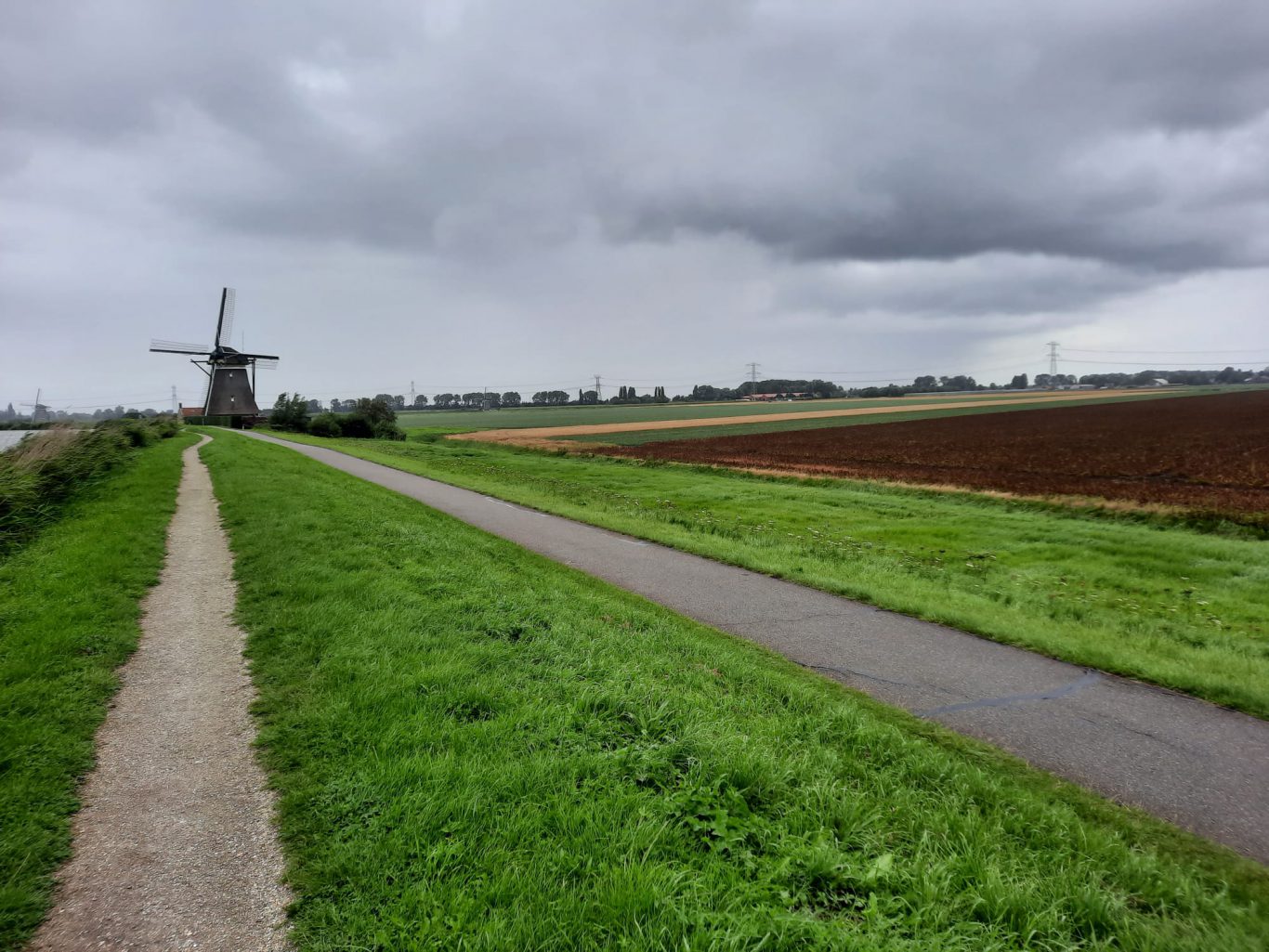 Paard raakt gewond bij heftig ongeval bij Molenviergang Zevenhuizen .