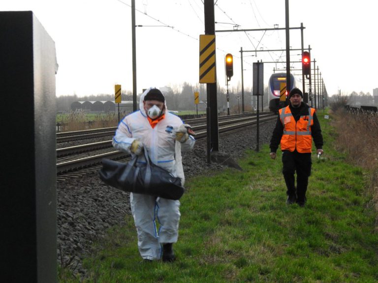 Zwaan met verdenking vogelgriep van treinspoor gered bij Moordrecht