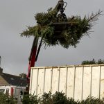 Kerstbomen verzamelen 3 Moerkapelle 2022