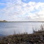 Hoog water Rotte 1