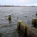 Hoog water Rotte 10
