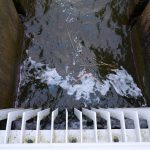 Hoog water Rotte 11