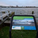 Hoog water Rotte 12