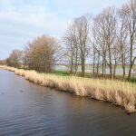 Hoog water Rotte
