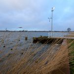 Hoog water Rotte 3