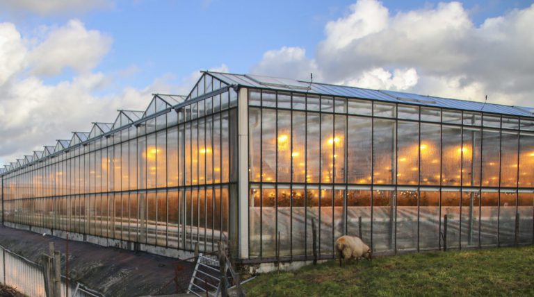 Zuid-Hollandse omgevingsdiensten controleren samen kunstverlichting glastuinbouw
