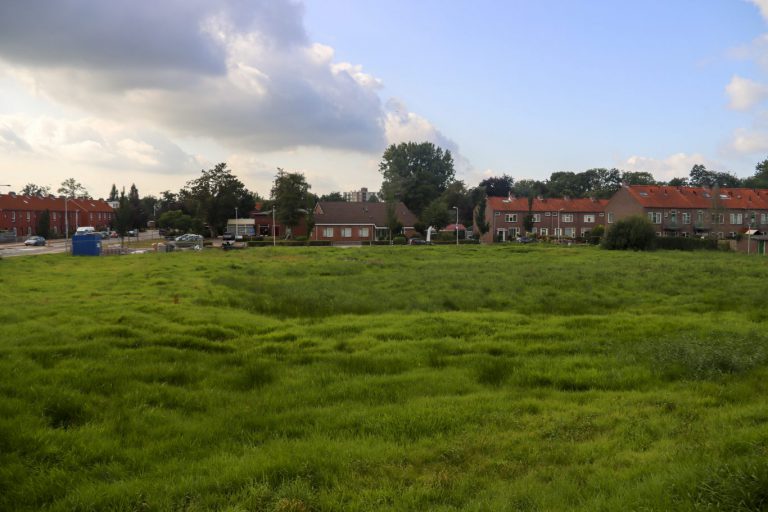 PvdA/GroenLinks wil urgentieplan voor veel meer groen binnen de bebouwde kom in Waddinxveen