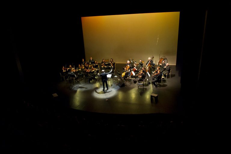 Symfonieorkest SEOP speelt voor Waddinxveense basisscholen