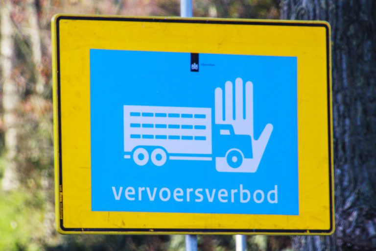 Vogelgriep in Waddinxveen: 80.000 kuikens geruimd – Clazing uitzondering vervoersverbod
