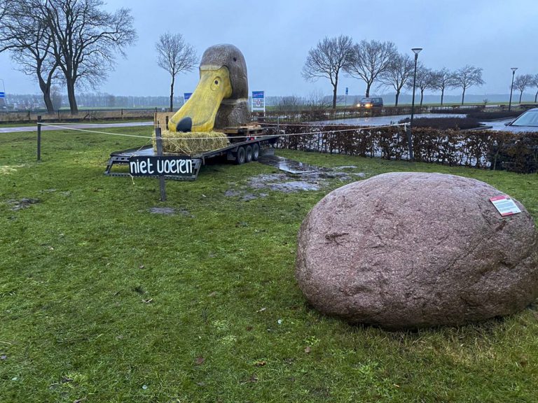 Waddinxveense Eendenkop gevonden in het Friese Donkerbroek