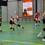 DS1_20230415-Volingo – ZVH (1)-pass13-50%