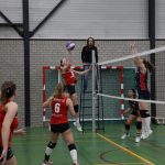 DS1_20230415-Volingo – ZVH (13)-aanv-50%