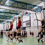 DS1_20230415-Volingo – ZVH (20)-blok-50%