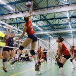 DS1_20230415-Volingo – ZVH (5)-aanv2-50%