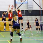 DS1_20230415-Volingo – ZVH (8)-blok-50%