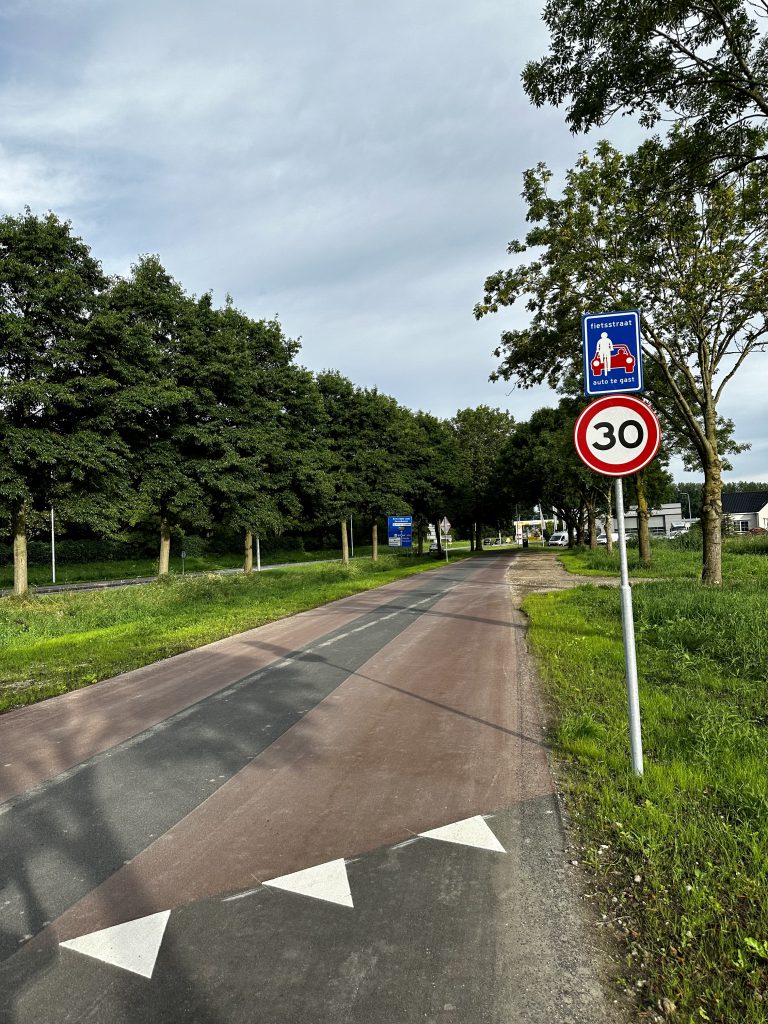 Zuidplasweg fietsstraat