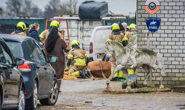 Brandweer schiet paard te hulp in Nieuwerkerk aan den IJssel