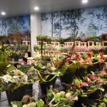 Nieuwe winkel Van der Spek