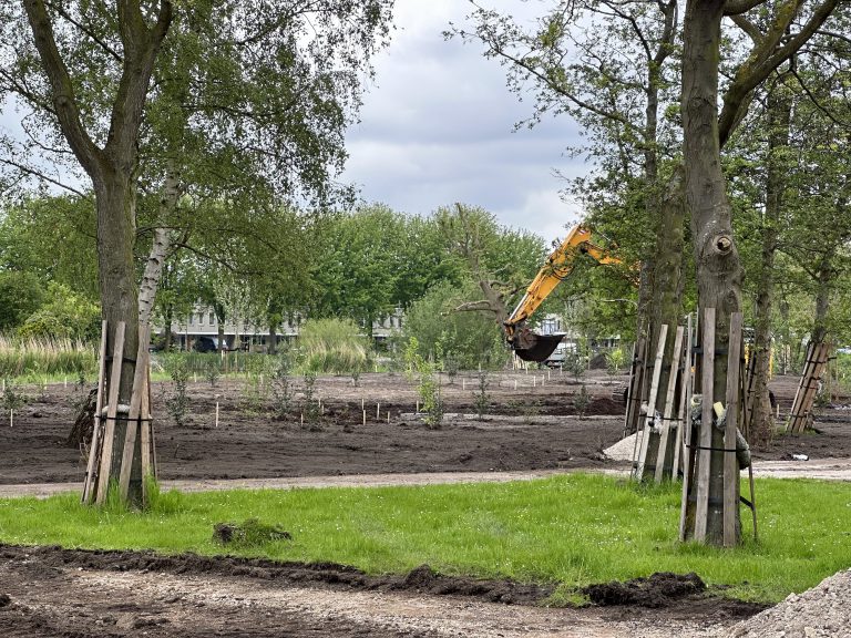 Bückeburgpark stap voor stap beplant