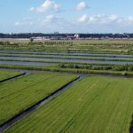 groenblauwe zone
