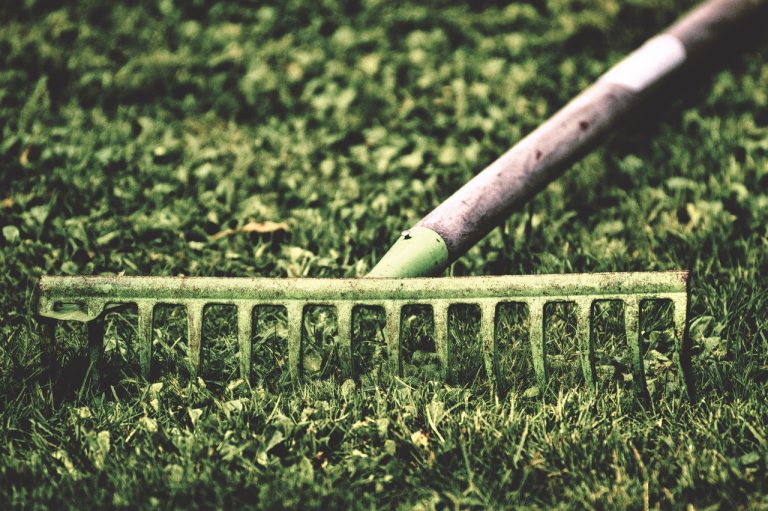 Krijg gratis tuinadvies voor een groene tuin van de vrijwillige tuincoaches in Waddinxveen