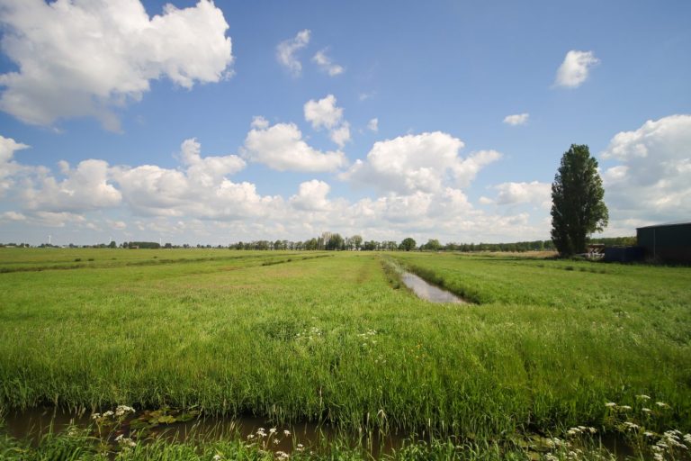 Rechtbank: oneerlijke handelspraktijk bij malafide grondverkoop Zuidplaspolder