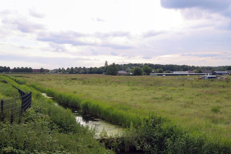 Platform: “Gemeenteraad onjuist geïnformeerd door college over locatiekeuze Spoorzone AZC”