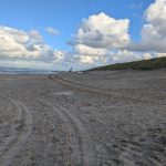 WhatsApp Image 2024-11-17 at 10.17.17 (1)