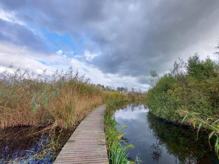 Expositie  ‘Park Hitland: van veenweiden en steenplaatsen naar natuur-en recreatiegebied ‘