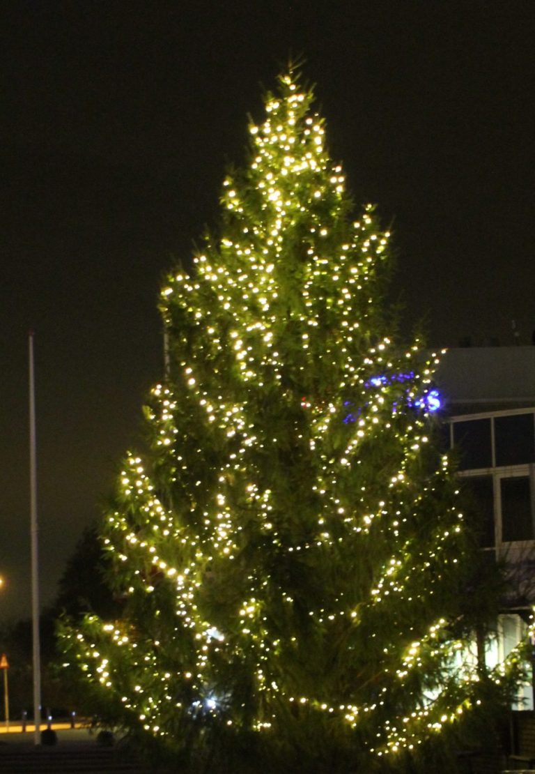 Gemeente komt terug op kerstboom bezuiniging