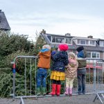 KERSTBOMEN INLEVEREN MKP5