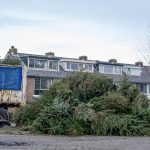 KERSTBOMEN INLEVEREN MKP6