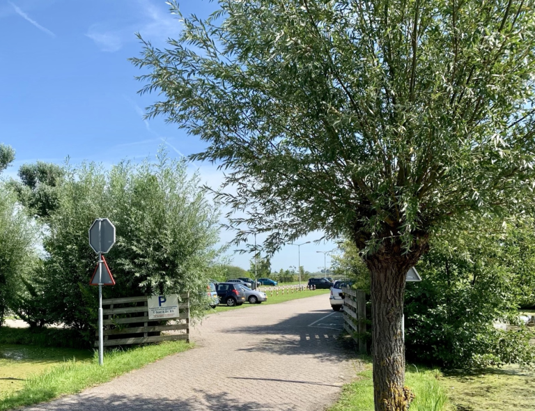 Commissie in tweespalt tussen overlast voorkomen en handhaven illegale activiteiten ‘s-Gravenweg
