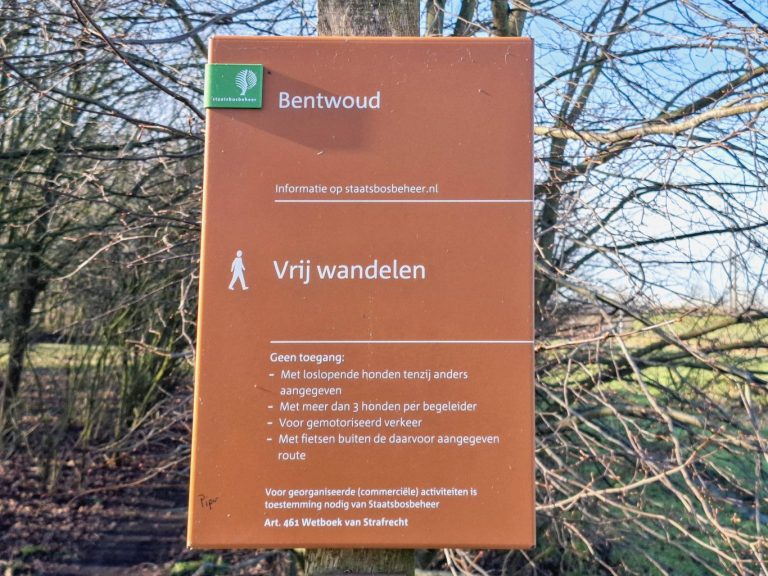 Provincie Zuid-Holland en Staatsbosbeheer vieren 25 jaar Bentwoud: Kom naar de Dag van het Bentwoud!