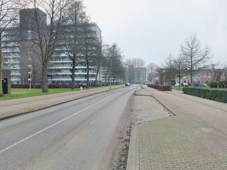 Aangepast ontwerp Batavierlaan: meer fietspad en minder zebra’s