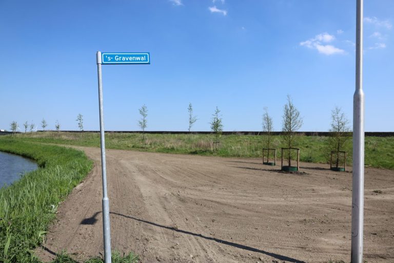 NEZ stelt vragen over kaalslag ‘s-Gravenwal Koningskwartier