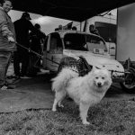 25-05-29 De GP van Zevenhuizen (Autocross) – beste (19)