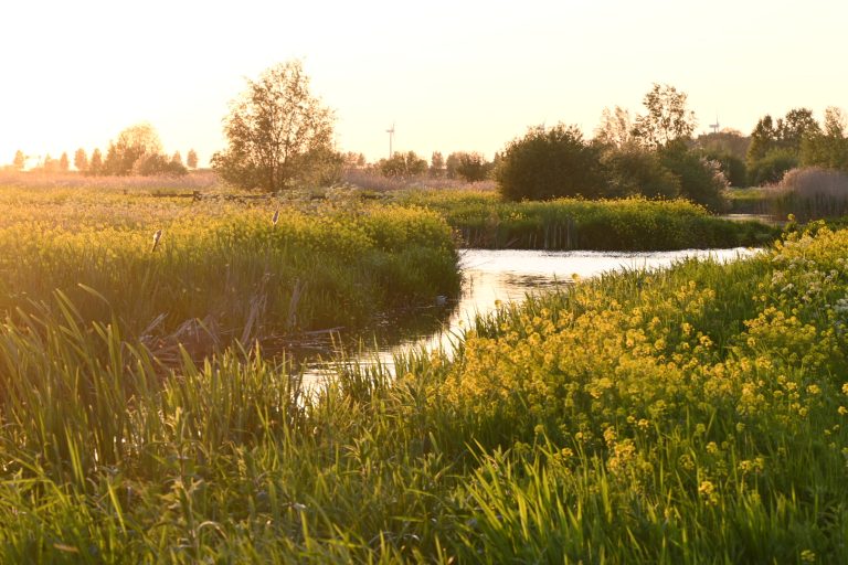 Zonsondergang Groen Blauwe Zone Moordrecht