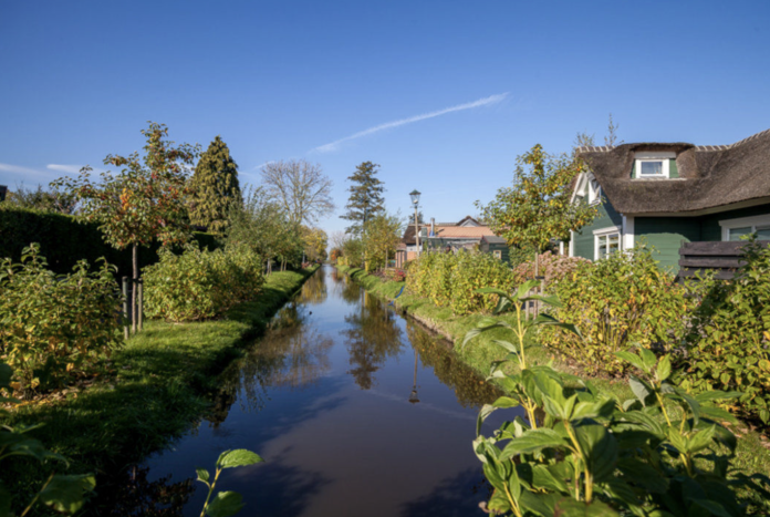 Poldertuin vissertje