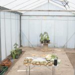 TinyhousesZevenhuizen 12